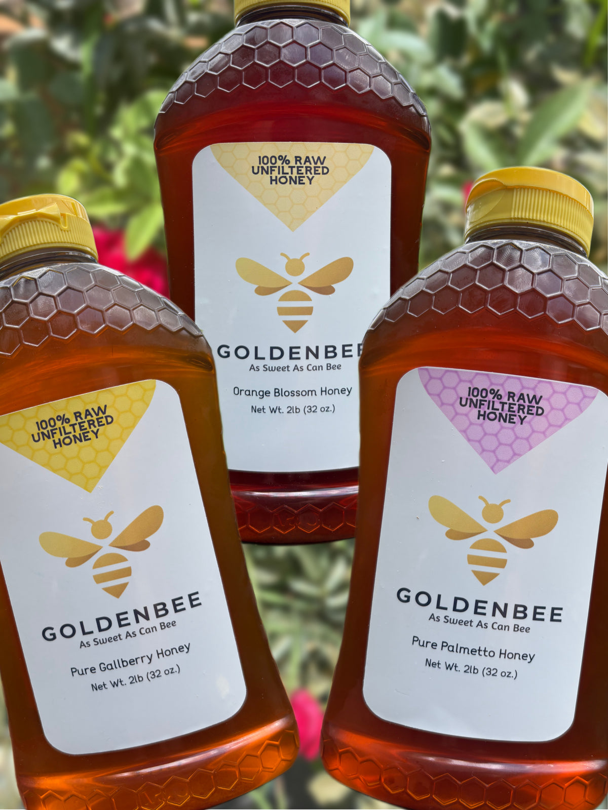 GoldenBee Honey Sampler 3-Pack- 6lb