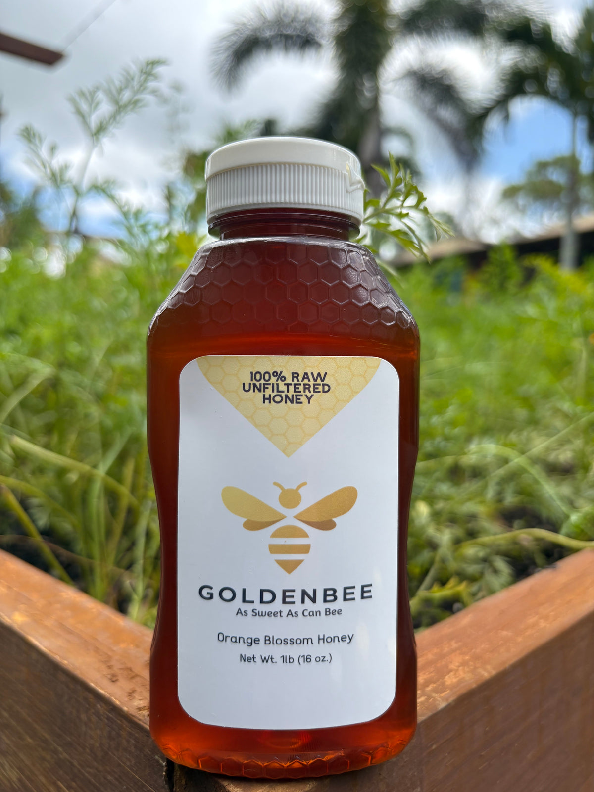 Florida Orange Blossom Honey - 1lb
